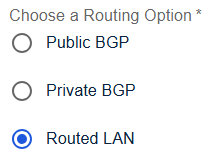 Digital Internet Routing