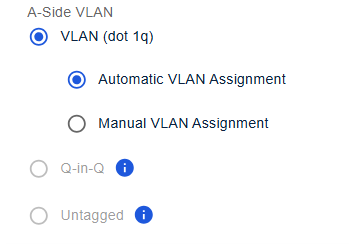 Single Peering VLAN QinQ